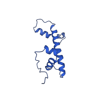 7326_6c0w_C_v1-2
Cryo-EM structure of human kinetochore protein CENP-N with the centromeric nucleosome containing CENP-A