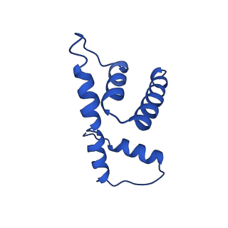 7326_6c0w_D_v1-2
Cryo-EM structure of human kinetochore protein CENP-N with the centromeric nucleosome containing CENP-A