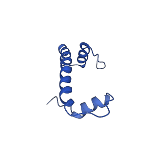 7326_6c0w_F_v1-2
Cryo-EM structure of human kinetochore protein CENP-N with the centromeric nucleosome containing CENP-A