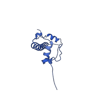 7326_6c0w_G_v1-2
Cryo-EM structure of human kinetochore protein CENP-N with the centromeric nucleosome containing CENP-A