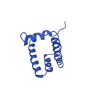 7326_6c0w_H_v1-2
Cryo-EM structure of human kinetochore protein CENP-N with the centromeric nucleosome containing CENP-A