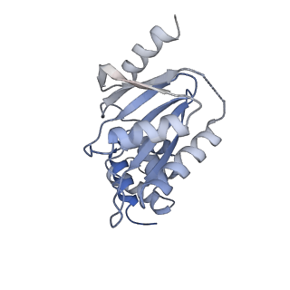 7326_6c0w_K_v1-1
Cryo-EM structure of human kinetochore protein CENP-N with the centromeric nucleosome containing CENP-A