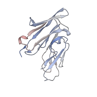 16377_8c1b_R_v1-0
Focused map for structure of IgE bound to the ectodomain of FceRIa