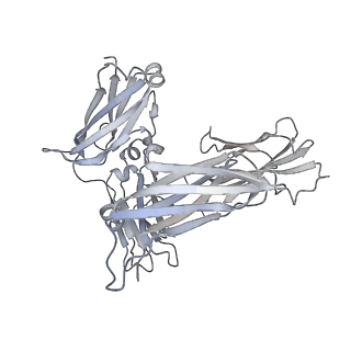16378_8c1c_H_v1-0
Structure of IgE bound to the ectodomain of FceRIa