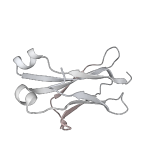 16378_8c1c_L_v1-0
Structure of IgE bound to the ectodomain of FceRIa