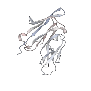 16378_8c1c_R_v1-0
Structure of IgE bound to the ectodomain of FceRIa