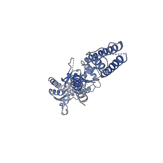 16379_8c1p_A_v1-3
Active state homomeric GluA1 AMPA receptor in complex with TARP gamma 3