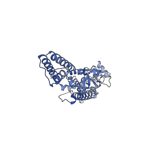 16379_8c1p_B_v1-3
Active state homomeric GluA1 AMPA receptor in complex with TARP gamma 3