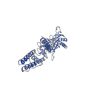 16379_8c1p_C_v1-3
Active state homomeric GluA1 AMPA receptor in complex with TARP gamma 3