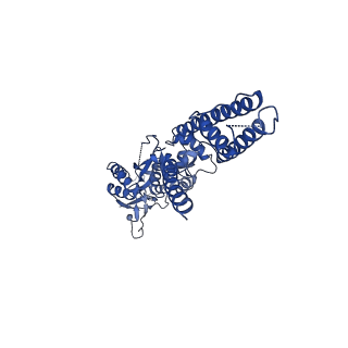 16380_8c1q_A_v1-3
Resting state homomeric GluA1 AMPA receptor in complex with TARP gamma 3