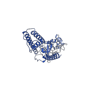 16380_8c1q_B_v1-3
Resting state homomeric GluA1 AMPA receptor in complex with TARP gamma 3