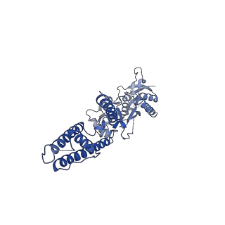 16380_8c1q_C_v1-3
Resting state homomeric GluA1 AMPA receptor in complex with TARP gamma 3