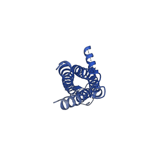 16380_8c1q_F_v1-3
Resting state homomeric GluA1 AMPA receptor in complex with TARP gamma 3