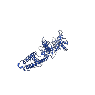 16381_8c1r_A_v1-3
Resting state homomeric GluA2 F231A mutant AMPA receptor in complex with TARP gamma-2
