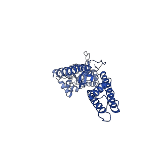 16381_8c1r_B_v1-3
Resting state homomeric GluA2 F231A mutant AMPA receptor in complex with TARP gamma-2