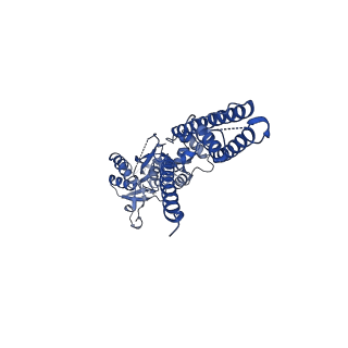 16381_8c1r_C_v1-3
Resting state homomeric GluA2 F231A mutant AMPA receptor in complex with TARP gamma-2