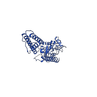16381_8c1r_D_v1-3
Resting state homomeric GluA2 F231A mutant AMPA receptor in complex with TARP gamma-2