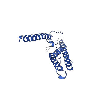 16382_8c1s_B_v1-3
Transmembrane domain of resting state homomeric GluA2 F231A mutant AMPA receptor in complex with TARP gamma 2
