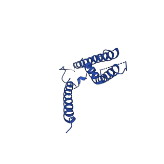 16382_8c1s_C_v1-3
Transmembrane domain of resting state homomeric GluA2 F231A mutant AMPA receptor in complex with TARP gamma 2