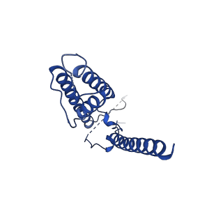 16382_8c1s_D_v1-3
Transmembrane domain of resting state homomeric GluA2 F231A mutant AMPA receptor in complex with TARP gamma 2