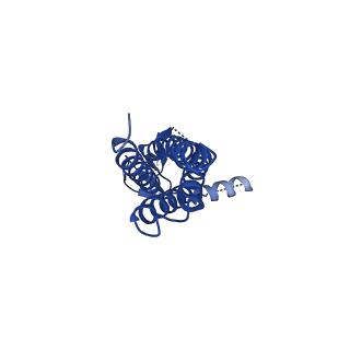 16382_8c1s_G_v1-3
Transmembrane domain of resting state homomeric GluA2 F231A mutant AMPA receptor in complex with TARP gamma 2