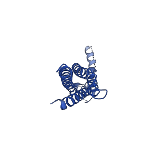 16382_8c1s_H_v1-3
Transmembrane domain of resting state homomeric GluA2 F231A mutant AMPA receptor in complex with TARP gamma 2