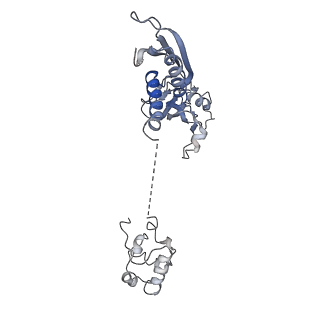 30268_7c17_A_v1-2
The cryo-EM structure of E. coli CueR transcription activation complex with fully duplex promoter DNA
