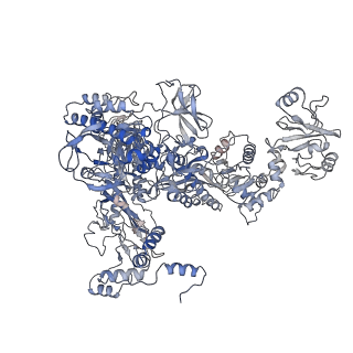 30268_7c17_C_v1-2
The cryo-EM structure of E. coli CueR transcription activation complex with fully duplex promoter DNA