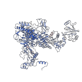 30268_7c17_C_v1-3
The cryo-EM structure of E. coli CueR transcription activation complex with fully duplex promoter DNA