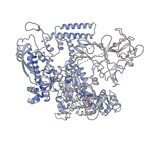 30268_7c17_D_v1-2
The cryo-EM structure of E. coli CueR transcription activation complex with fully duplex promoter DNA