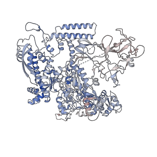 30268_7c17_D_v1-3
The cryo-EM structure of E. coli CueR transcription activation complex with fully duplex promoter DNA