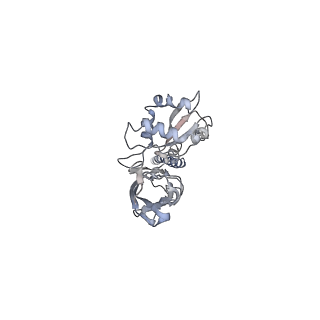 7328_6c14_A_v1-1
CryoEM structure of mouse PCDH15-1EC-LHFPL5 complex