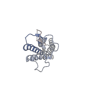 7328_6c14_B_v1-1
CryoEM structure of mouse PCDH15-1EC-LHFPL5 complex