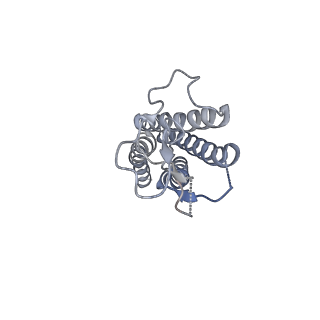7328_6c14_D_v1-1
CryoEM structure of mouse PCDH15-1EC-LHFPL5 complex