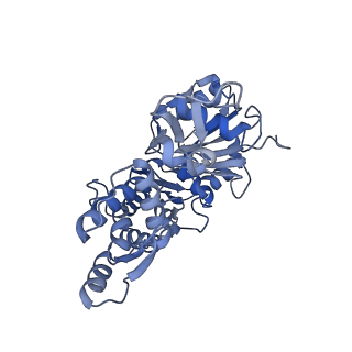 7330_6c1g_A_v1-4
High-Resolution Cryo-EM Structures of Actin-bound Myosin States Reveal the Mechanism of Myosin Force Sensing