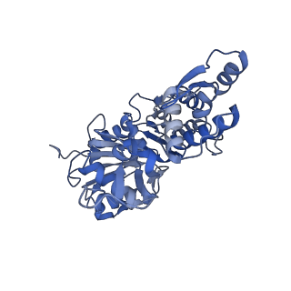 7330_6c1g_B_v1-4
High-Resolution Cryo-EM Structures of Actin-bound Myosin States Reveal the Mechanism of Myosin Force Sensing