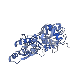 7330_6c1g_C_v1-4
High-Resolution Cryo-EM Structures of Actin-bound Myosin States Reveal the Mechanism of Myosin Force Sensing