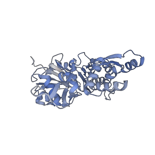 7330_6c1g_D_v1-4
High-Resolution Cryo-EM Structures of Actin-bound Myosin States Reveal the Mechanism of Myosin Force Sensing