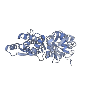 7330_6c1g_E_v1-4
High-Resolution Cryo-EM Structures of Actin-bound Myosin States Reveal the Mechanism of Myosin Force Sensing