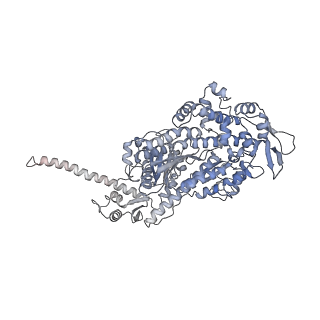 7330_6c1g_P_v1-4
High-Resolution Cryo-EM Structures of Actin-bound Myosin States Reveal the Mechanism of Myosin Force Sensing