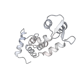 7330_6c1g_R_v1-4
High-Resolution Cryo-EM Structures of Actin-bound Myosin States Reveal the Mechanism of Myosin Force Sensing