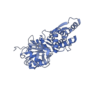 7331_6c1h_B_v1-4
High-Resolution Cryo-EM Structures of Actin-bound Myosin States Reveal the Mechanism of Myosin Force Sensing