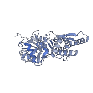 7331_6c1h_D_v1-4
High-Resolution Cryo-EM Structures of Actin-bound Myosin States Reveal the Mechanism of Myosin Force Sensing