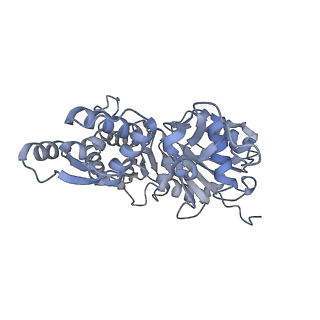 7331_6c1h_E_v1-4
High-Resolution Cryo-EM Structures of Actin-bound Myosin States Reveal the Mechanism of Myosin Force Sensing