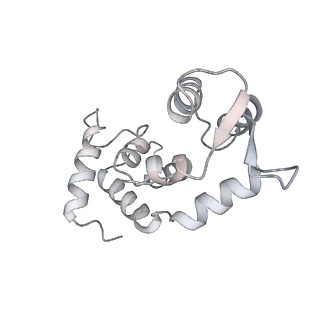 7331_6c1h_R_v1-4
High-Resolution Cryo-EM Structures of Actin-bound Myosin States Reveal the Mechanism of Myosin Force Sensing