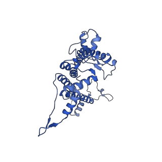 16389_8c29_A_v1-2
Cryo-EM structure of photosystem II C2S2 supercomplex from Norway spruce (Picea abies) at 2.8 Angstrom resolution