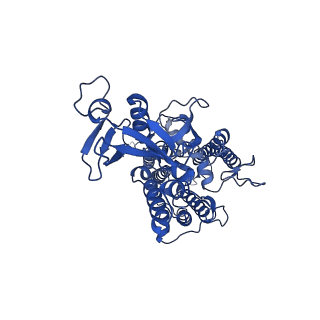 16389_8c29_B_v1-2
Cryo-EM structure of photosystem II C2S2 supercomplex from Norway spruce (Picea abies) at 2.8 Angstrom resolution