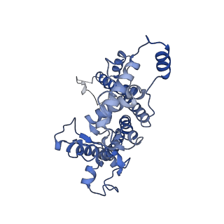 16389_8c29_D_v1-2
Cryo-EM structure of photosystem II C2S2 supercomplex from Norway spruce (Picea abies) at 2.8 Angstrom resolution