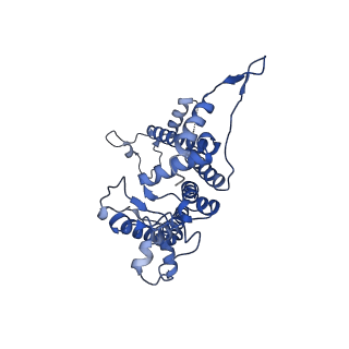 16389_8c29_a_v1-2
Cryo-EM structure of photosystem II C2S2 supercomplex from Norway spruce (Picea abies) at 2.8 Angstrom resolution