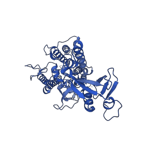 16389_8c29_b_v1-2
Cryo-EM structure of photosystem II C2S2 supercomplex from Norway spruce (Picea abies) at 2.8 Angstrom resolution